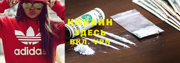 МДПВ Бородино