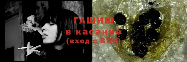 МДПВ Бородино