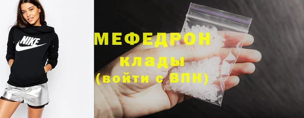 МДПВ Бородино