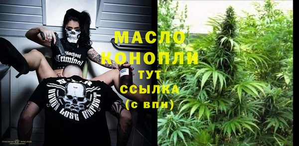 МДПВ Бородино