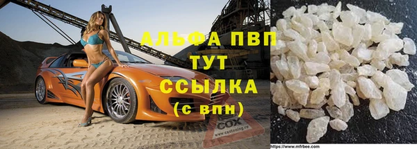 МДПВ Бородино