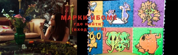 МДПВ Бородино