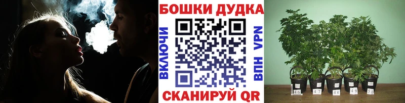 МАРИХУАНА Bruce Banner Грайворон