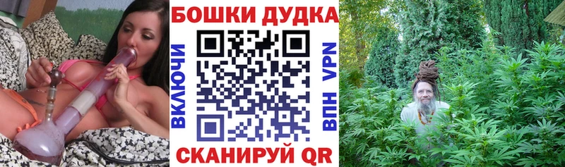 где купить наркоту  Грайворон  МАРИХУАНА White Widow 